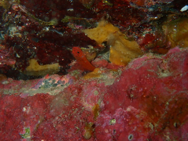 e0115199_16345185.jpg