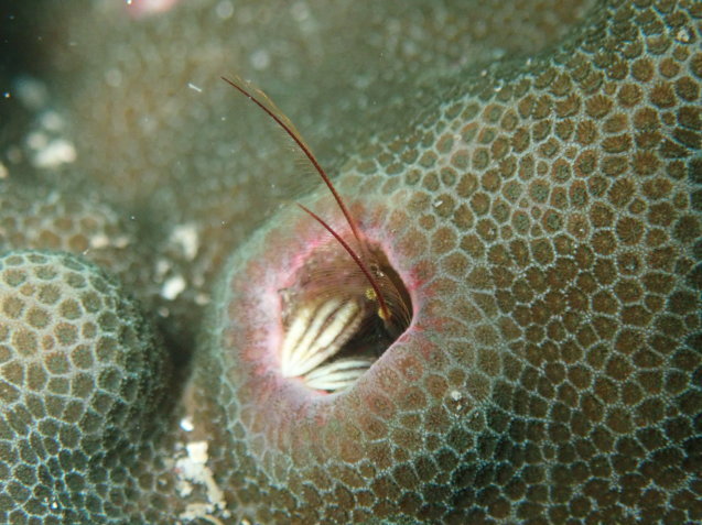 e0115199_16351898.jpg