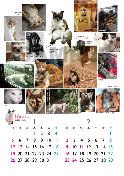 2020年の動物救護支援カレンダーできました_a0200902_17365350.jpg