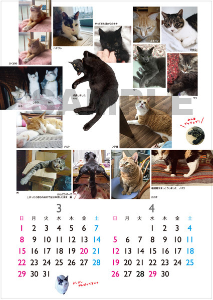 2020年の動物救護支援カレンダーできました_a0200902_17370432.jpg