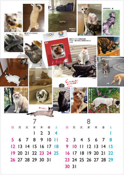 2020年の動物救護支援カレンダーできました_a0200902_17373572.jpg