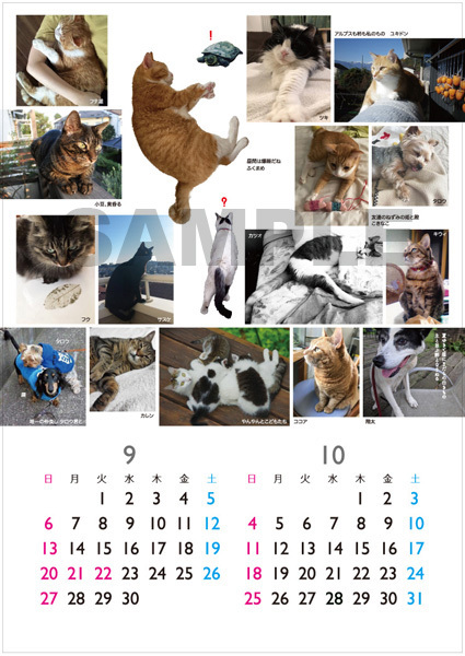 2020年の動物救護支援カレンダーできました_a0200902_17374699.jpg