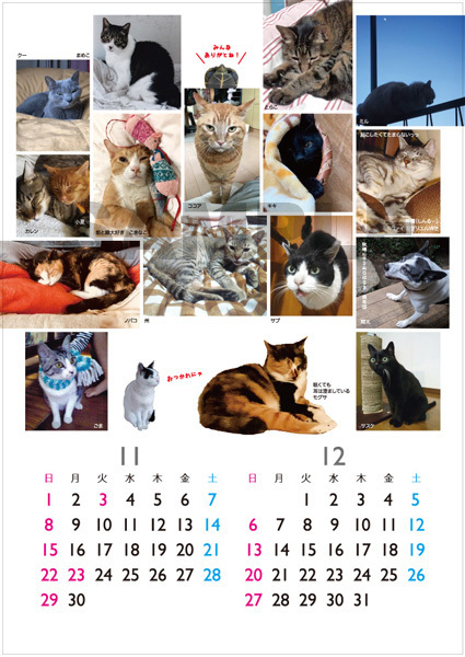 2020年の動物救護支援カレンダーできました_a0200902_17380288.jpg