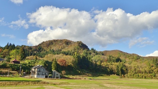 c0336902_21320514.jpg