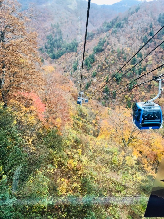 e0273004_17321962.jpg