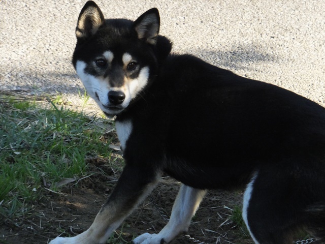 f0078320_10514762.jpg