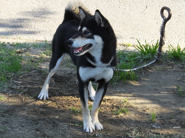 f0078320_10520121.jpg