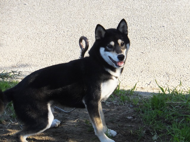 f0078320_10520813.jpg