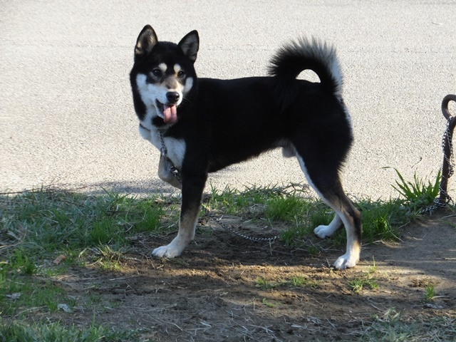 f0078320_10522058.jpg