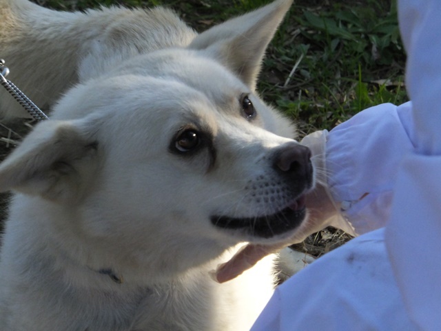 f0078320_10543245.jpg