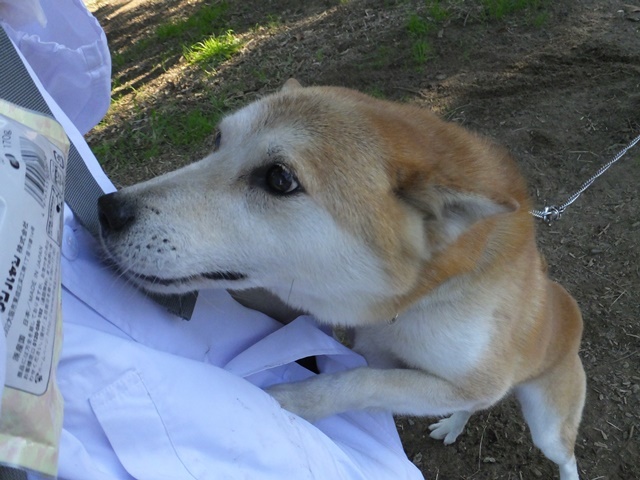 f0078320_11111755.jpg