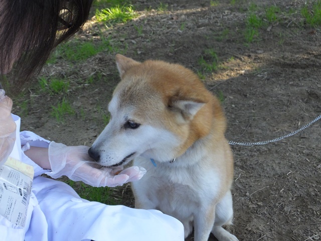 f0078320_11112543.jpg