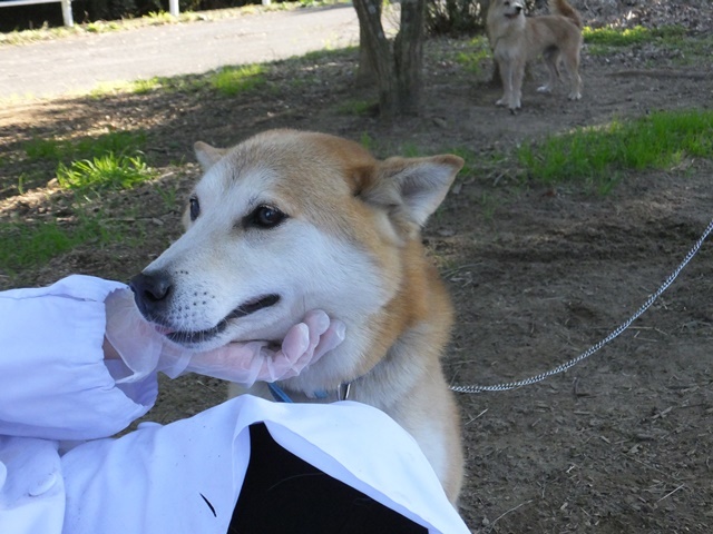 f0078320_11113019.jpg