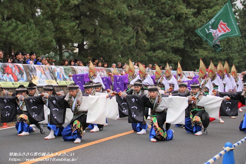 草加ふささら祭り(11月3日開催)・・・NO3_e0052135_17505764.jpg