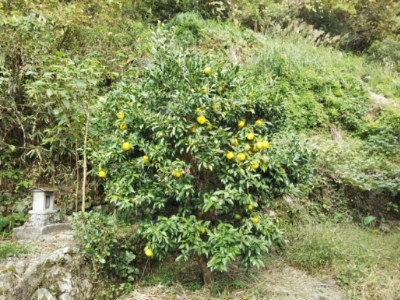 c0330749_15252978.jpg