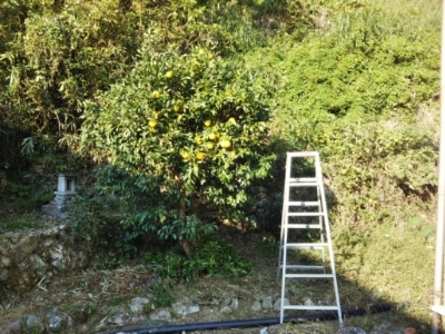 c0330749_15325251.jpg