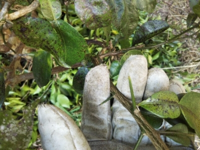 c0330749_15375738.jpg