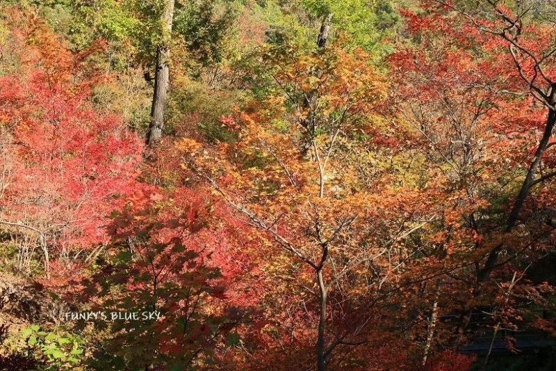 c0145250_10224276.jpg