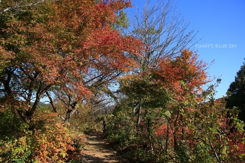 c0145250_11514768.jpg