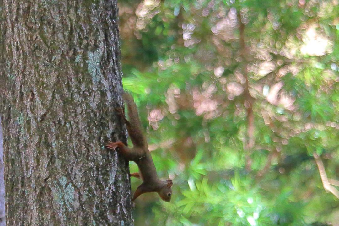 e0403850_09124738.jpg