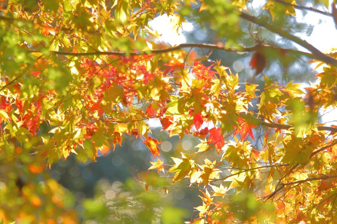e0403850_09131712.jpg