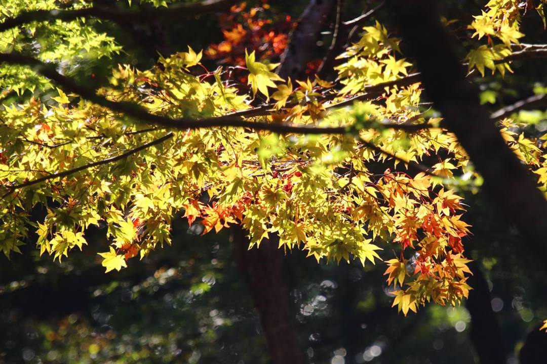 e0403850_09131715.jpg