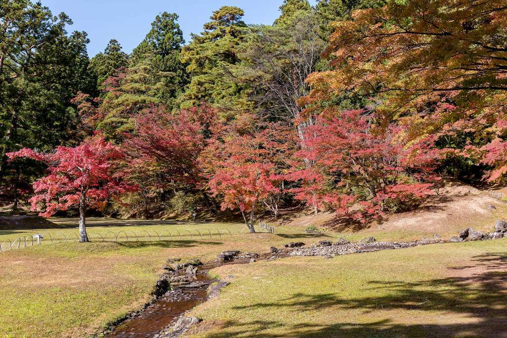 毛越寺_f0044056_13280312.jpg