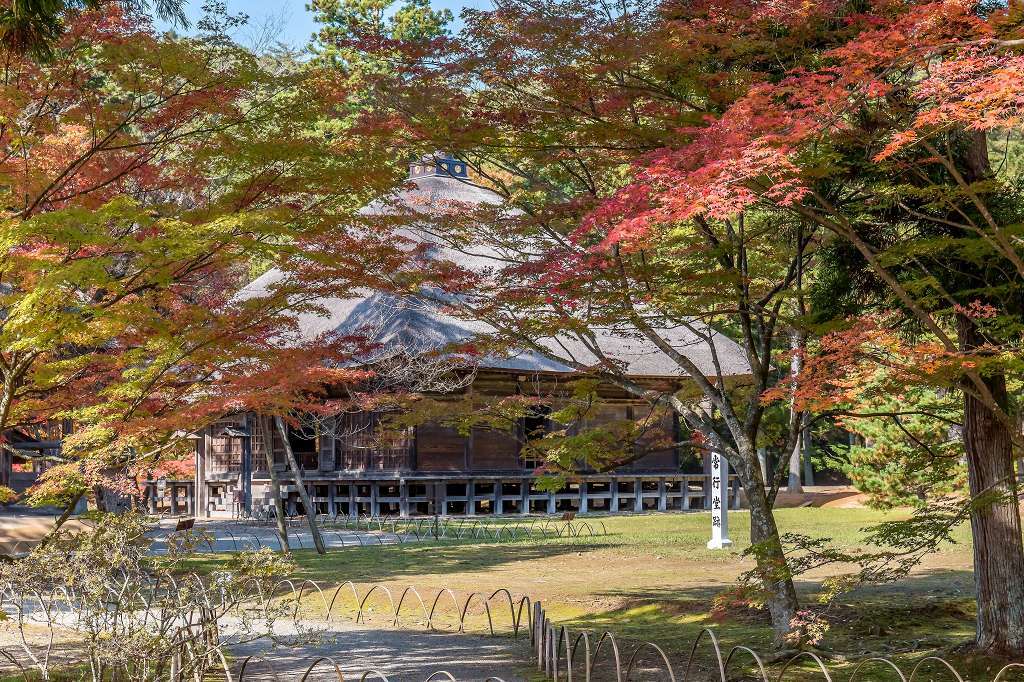 毛越寺_f0044056_13315702.jpg