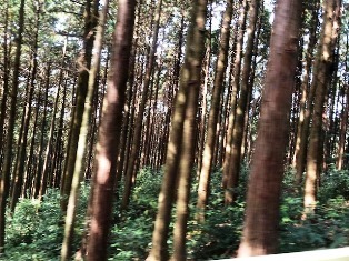 f0152061_16160220.jpg