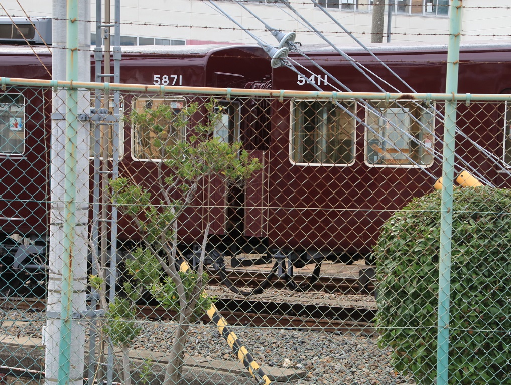 d0202264_1559518.jpg