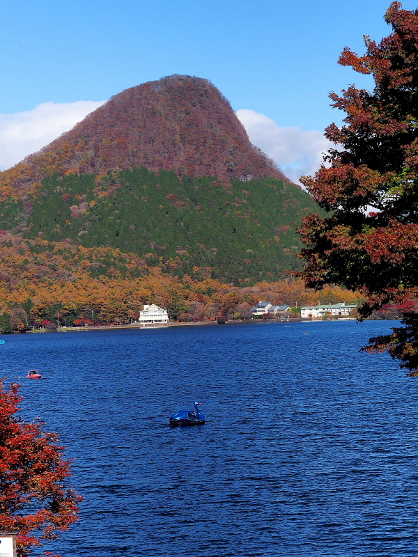 榛名湖畔の彩り_c0305565_17350262.jpg