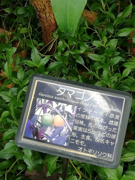 最後の浜名湖旅行_f0340068_21250236.jpg