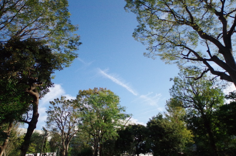 e0406281_17303424.jpg