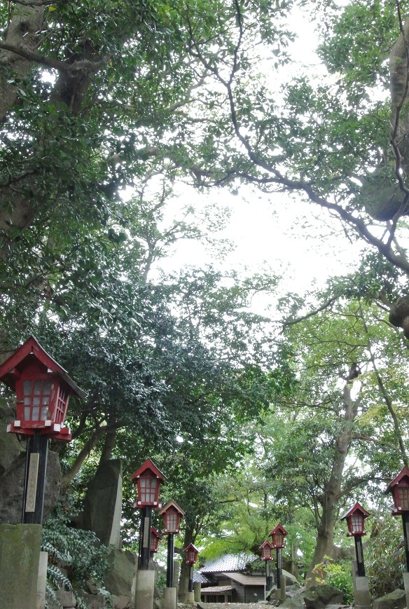 d0129083_17351796.jpg