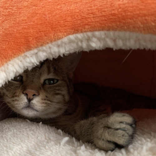 マメさんスネる....._e0358096_15530585.jpeg