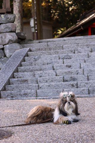 木曽路「藪原宿・奈良井宿篇」_c0090198_15310888.jpg