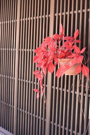 木曽路「藪原宿・奈良井宿篇」_c0090198_15331137.jpg