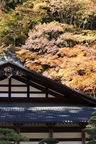 木曽路「藪原宿・奈良井宿篇」_c0090198_15345175.jpg