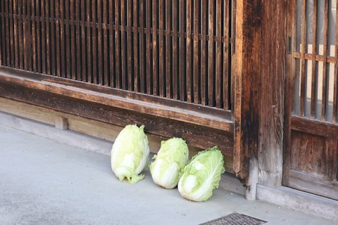 木曽路「藪原宿・奈良井宿篇」_c0090198_15371080.jpg