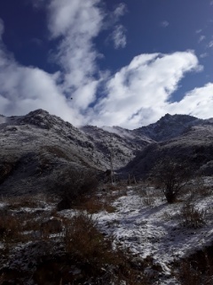 b0214800_12233176.jpg