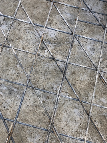 雨が多くて_a0148909_14450951.jpeg