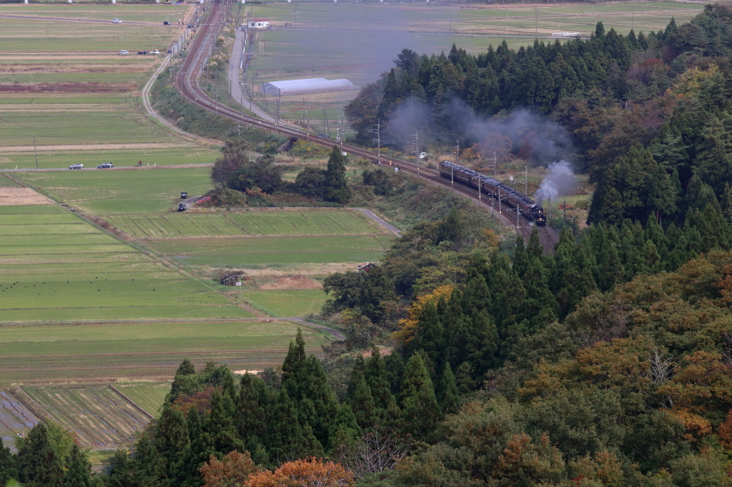 秋の山に向かって築堤を走る汽車 - 2019年晩秋・羽越本線 -_b0190710_19482726.jpg