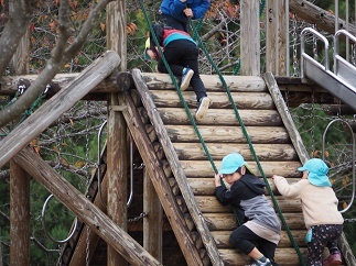 20191108_f0236012_11424092.jpg