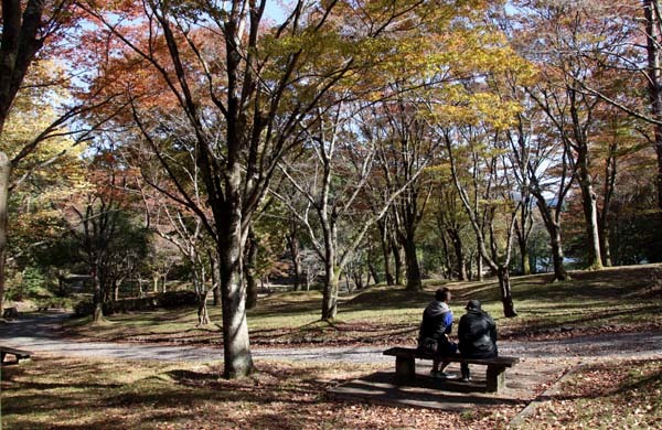 秋がスピードアップ 宝ヶ池公園_e0048413_18121971.jpg
