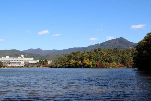 秋がスピードアップ 宝ヶ池公園_e0048413_18123766.jpg