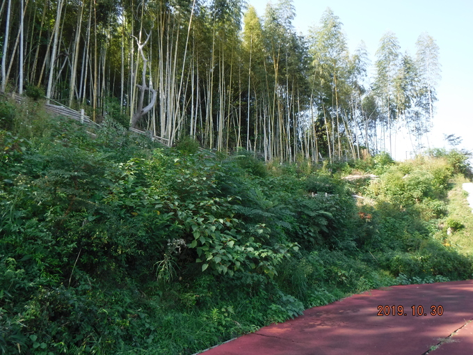 e0138321_54181.jpg