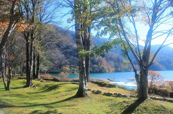 美しい湖・・・(4206)_e0349324_08073477.jpg
