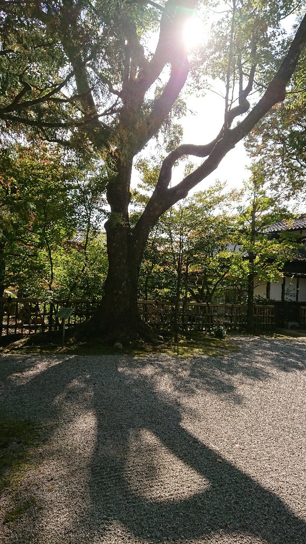 b0098228_16544793.jpg