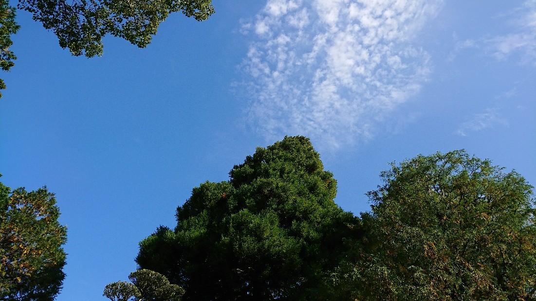 b0098228_16544831.jpg