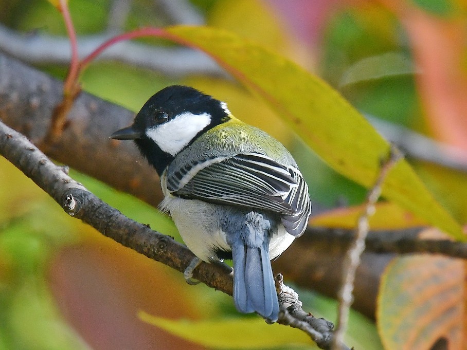 f0340732_22412224.jpg